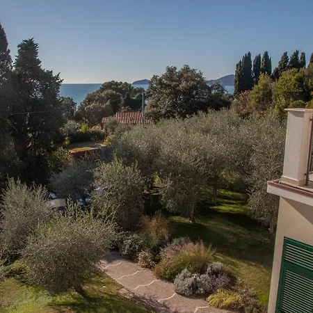 Blue Line フィアスケリーノ